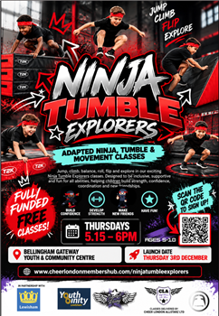 Ninja